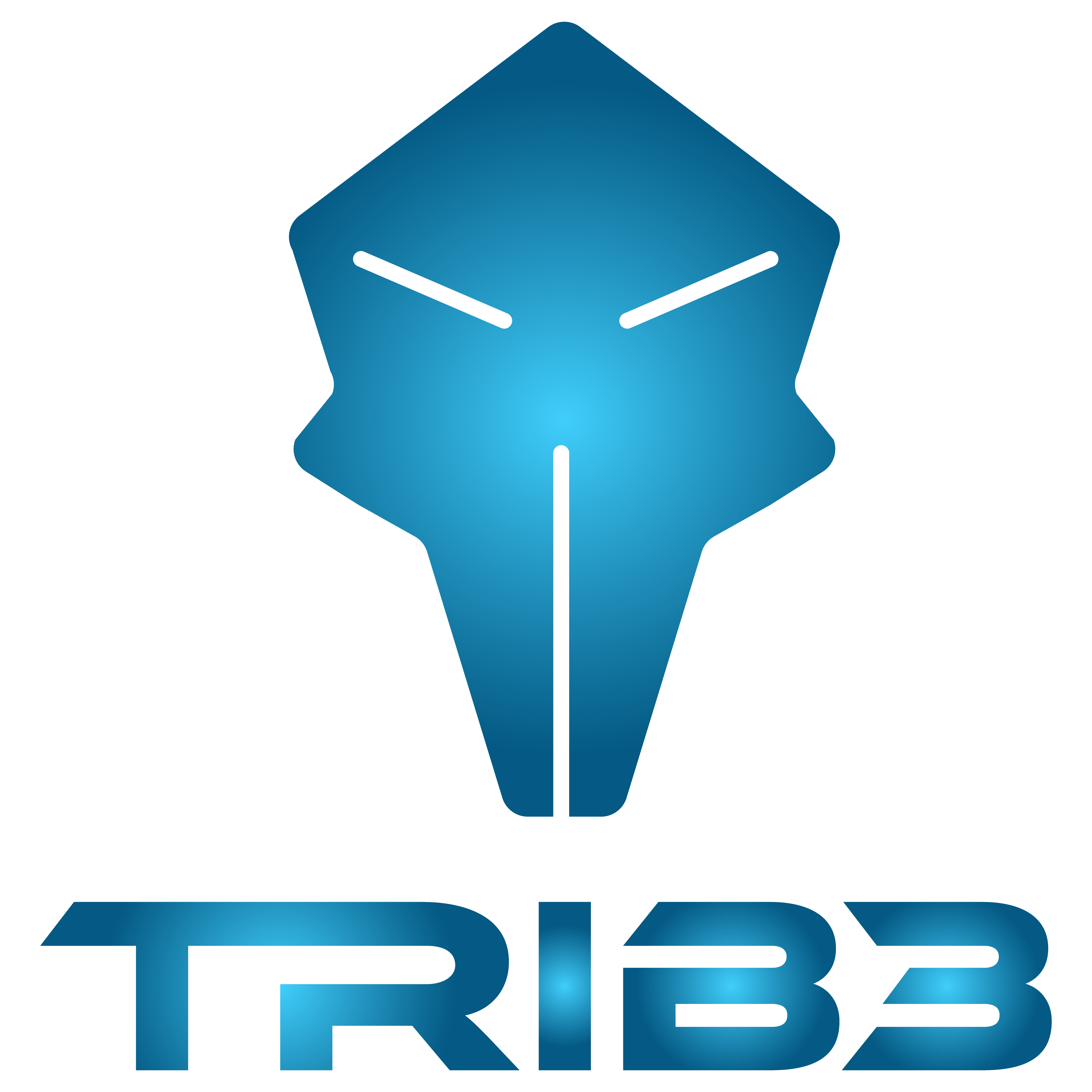 TRIB3 Mask Logo